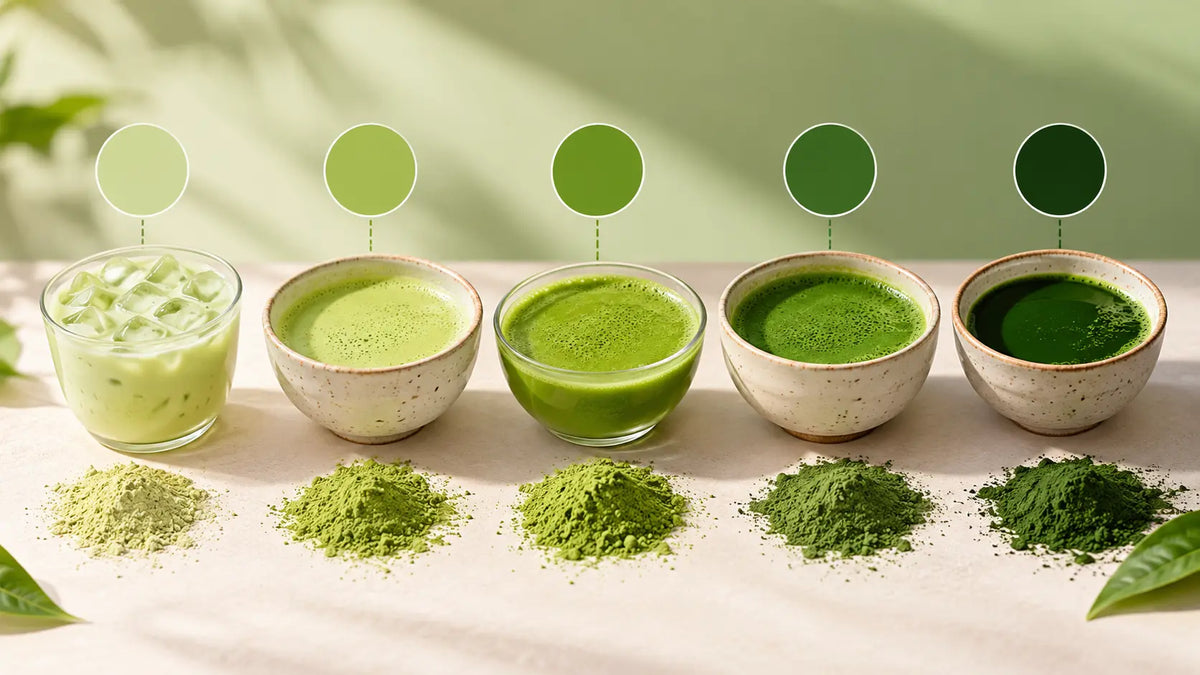 Why Does Matcha Change Colour