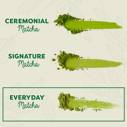 Everyday Matcha | Japanese Matcha Powder  | 30g | Bree Matcha